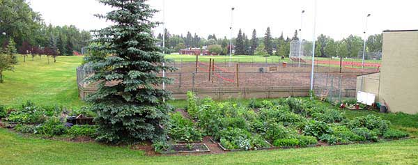 South Calgary Garden